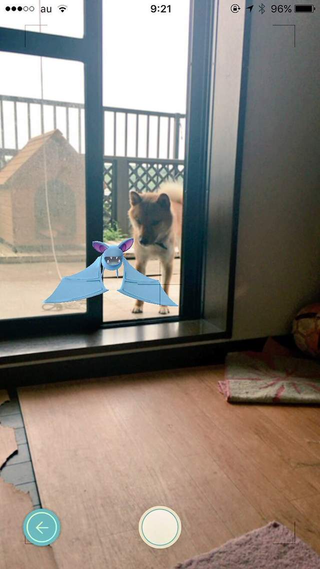 圖片4 圖片4