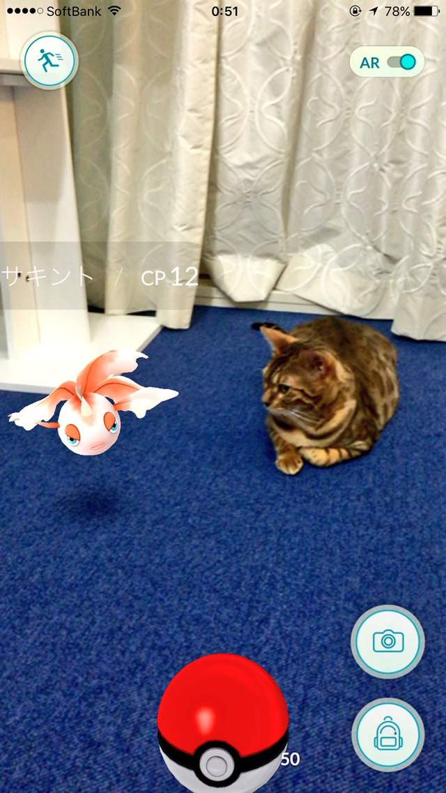 圖片15 圖片15