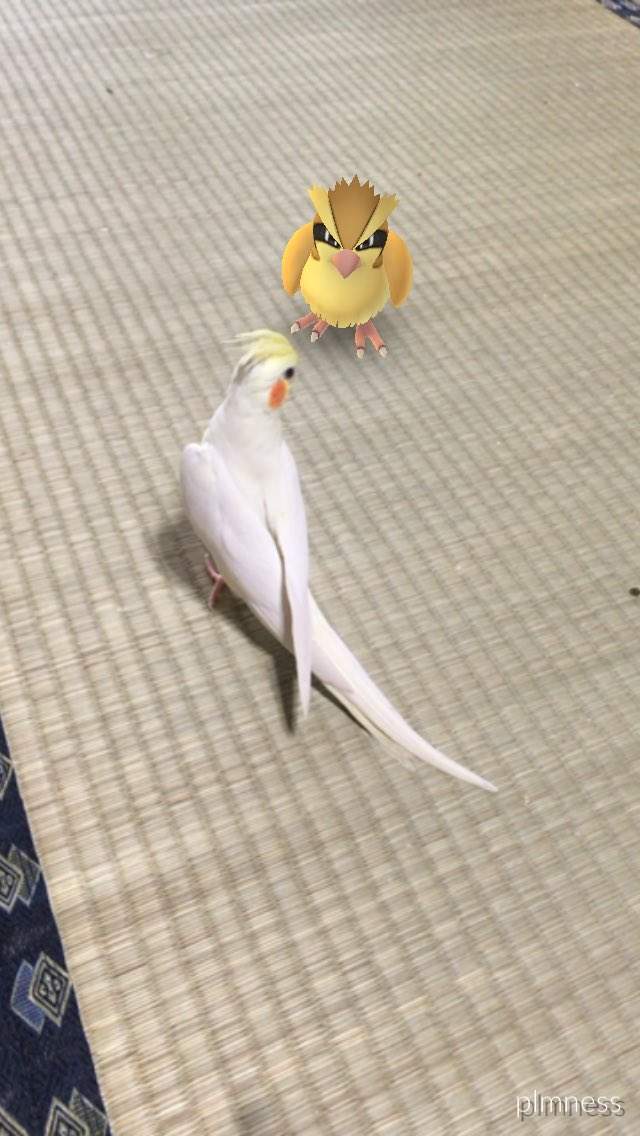圖片20 圖片20