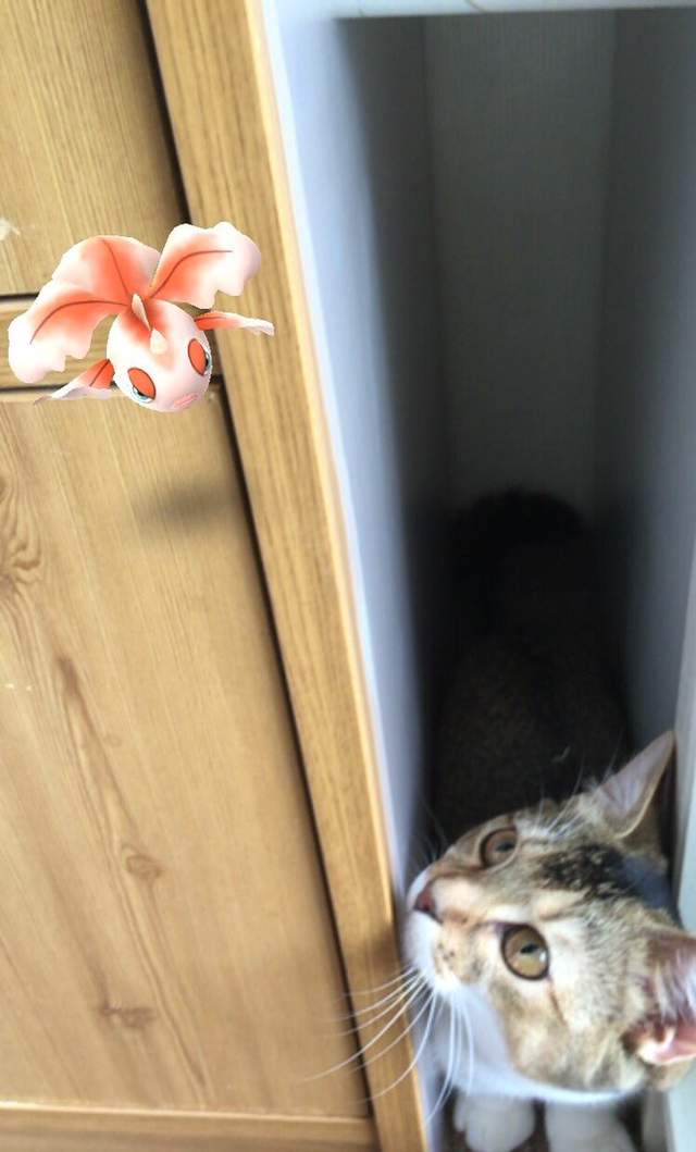 圖片11 圖片11