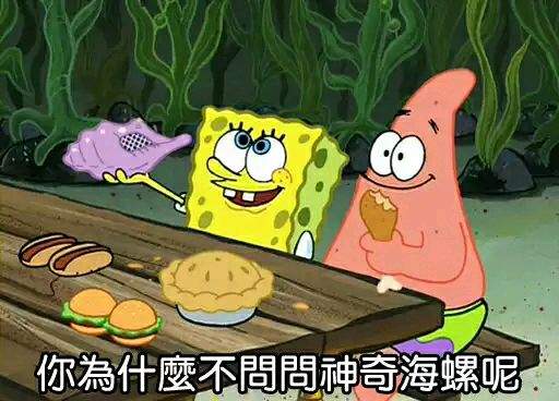 圖片13 圖片13