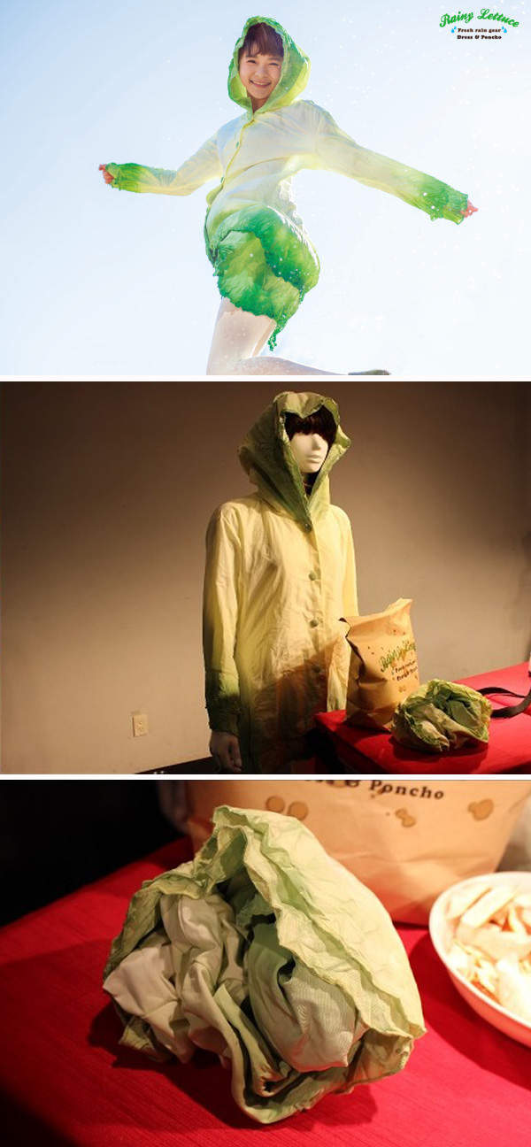 圖片9 圖片9