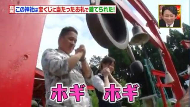 圖片14 圖片14