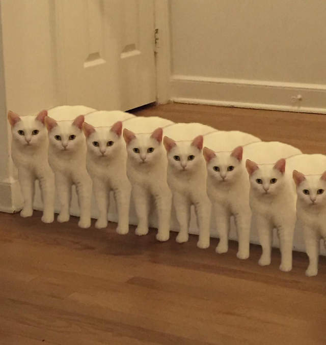 圖片9 圖片9