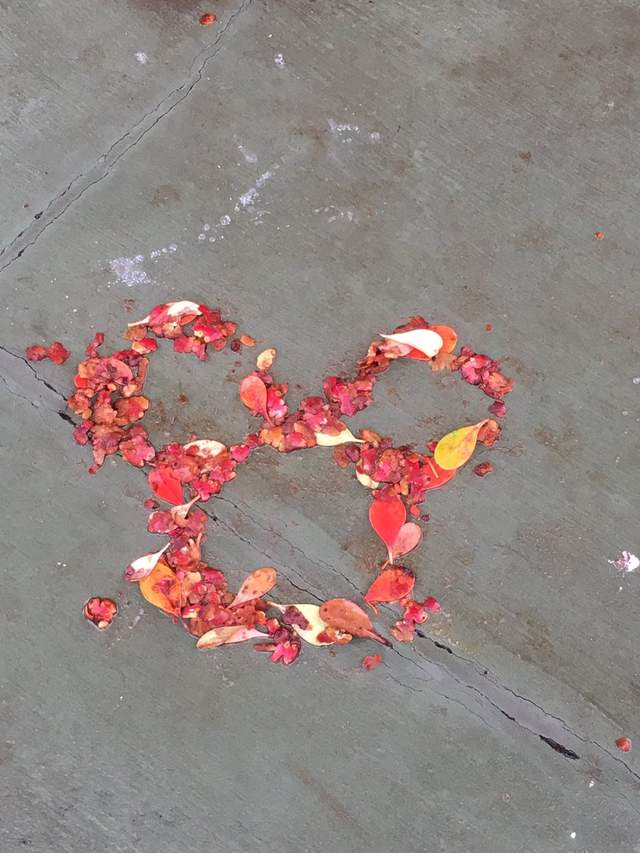圖片4 圖片4