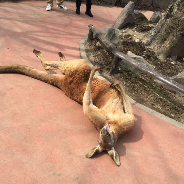 圖片5 圖片5
