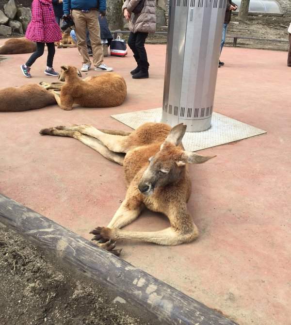 圖片4 圖片4