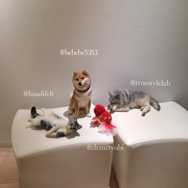 圖片6 圖片6