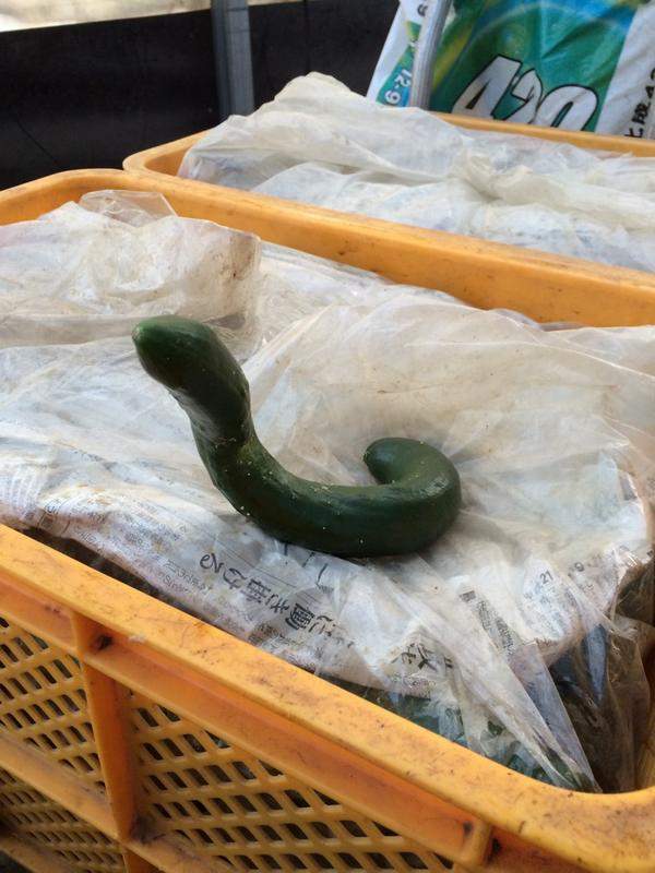 圖片5 圖片5