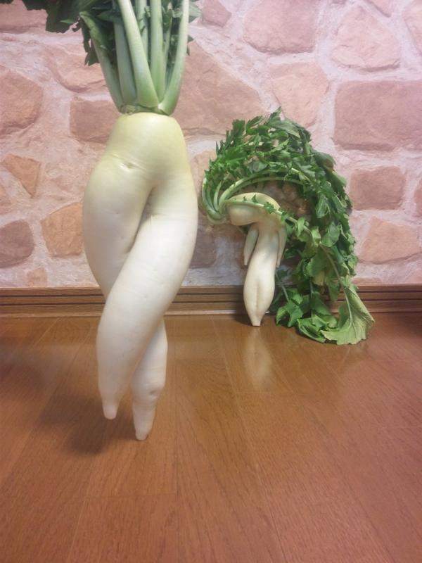 圖片8 圖片8