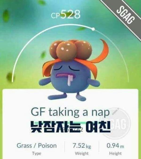 圖片9 圖片9