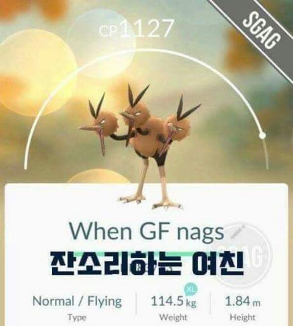 圖片7 圖片7