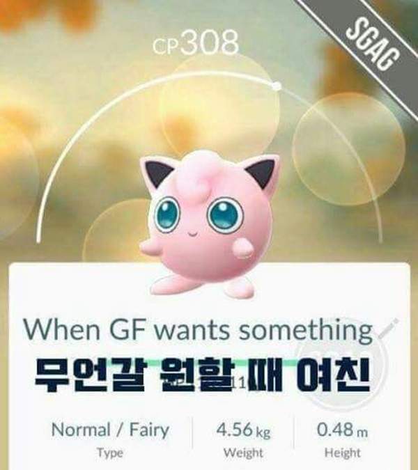 圖片8 圖片8