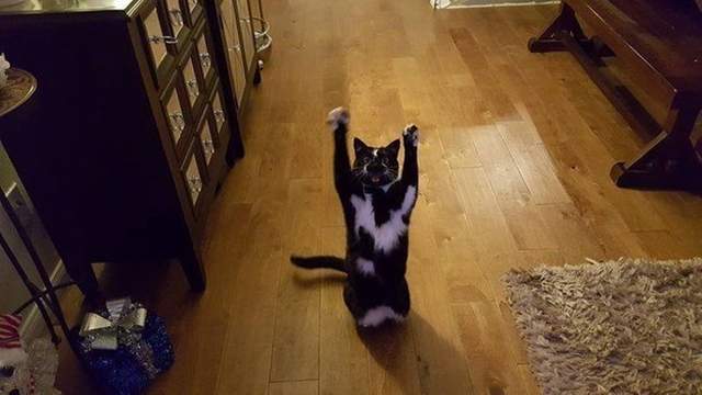 圖片7 圖片7
