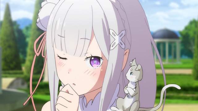 圖片11 圖片11