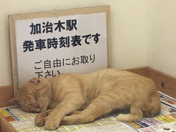 圖片18 圖片18