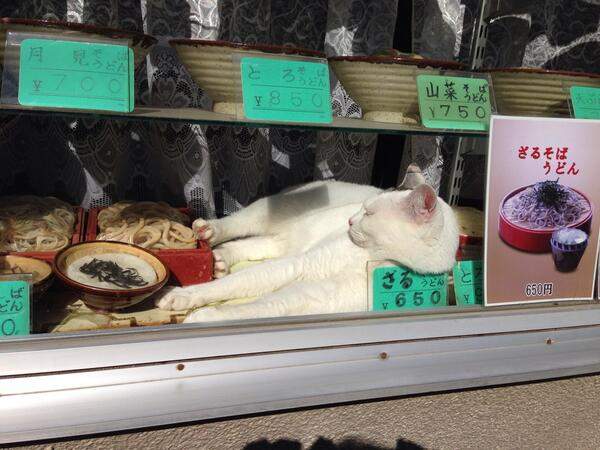 圖片11 圖片11