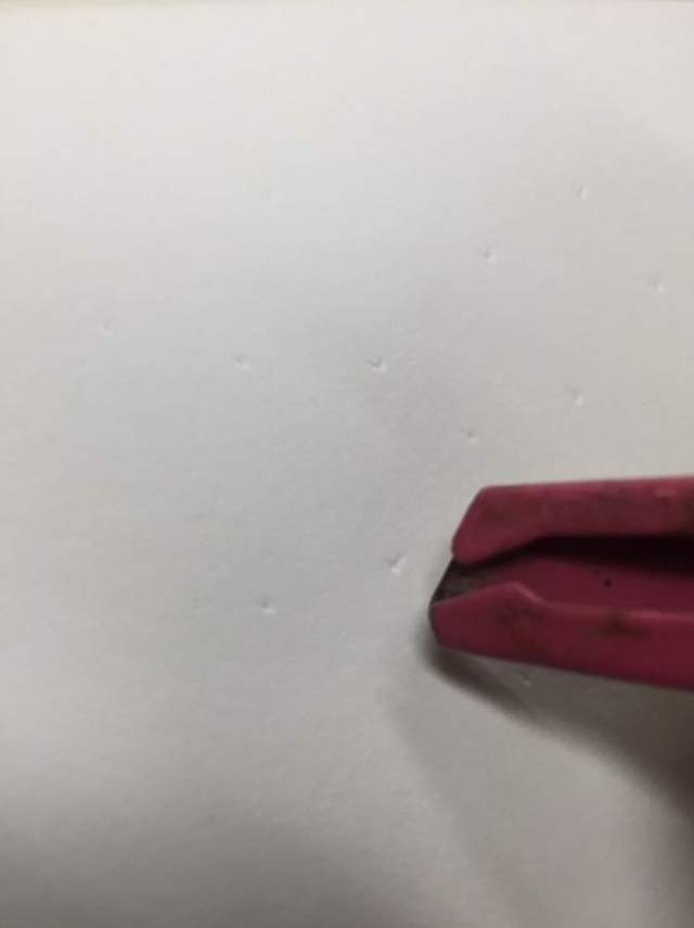 圖片7 圖片7