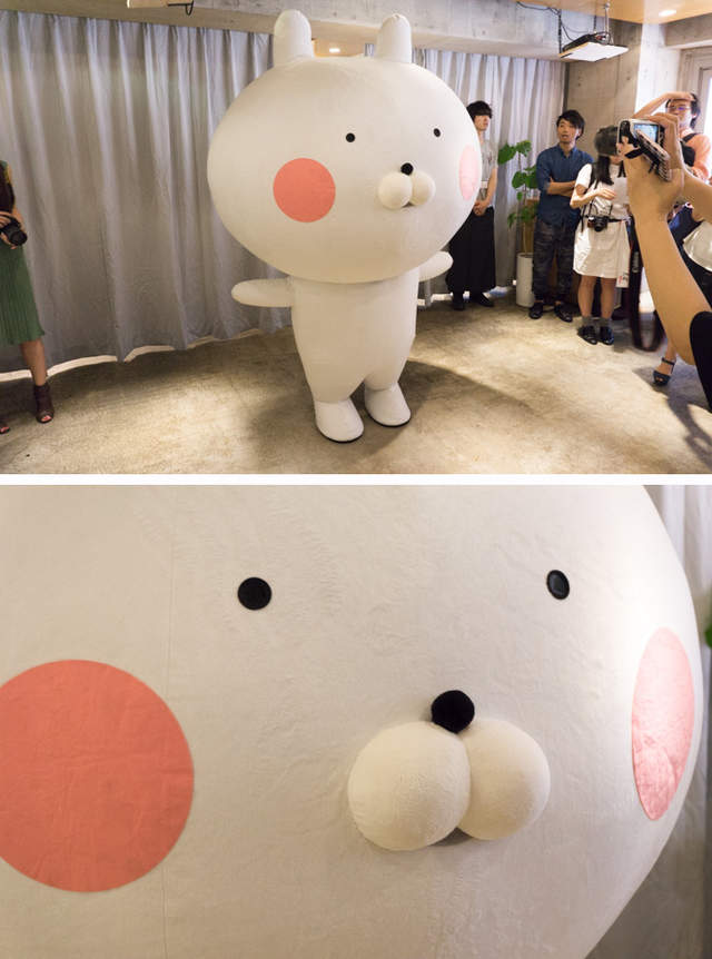 圖片15 圖片15