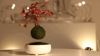 圖片5 圖片5