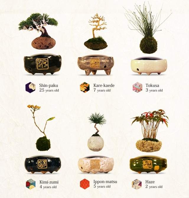 圖片6 圖片6