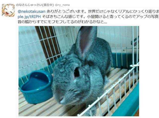 圖片4 圖片4