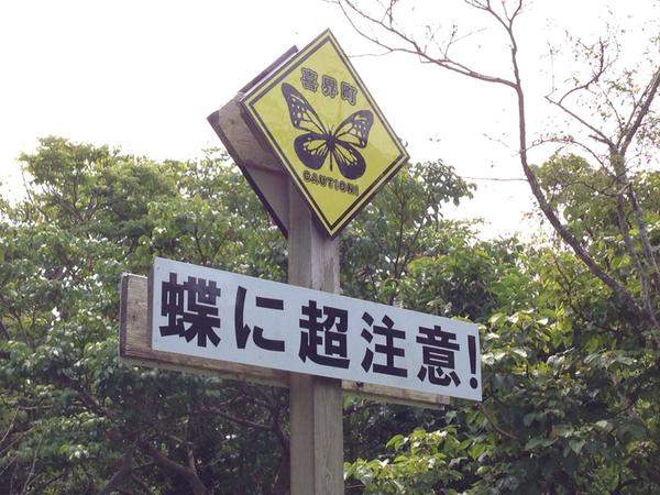 圖片5 圖片5