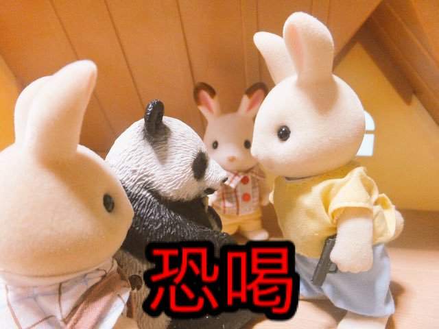 圖片14 圖片14