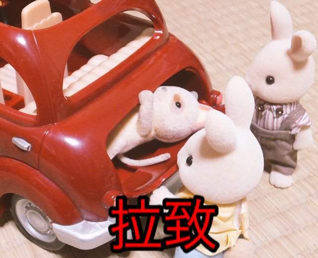 圖片15 圖片15