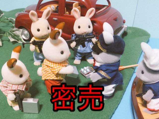 圖片16 圖片16
