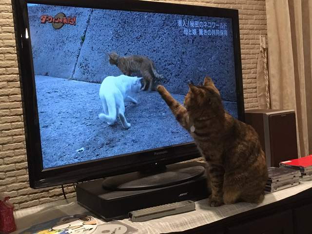 圖片12 圖片12