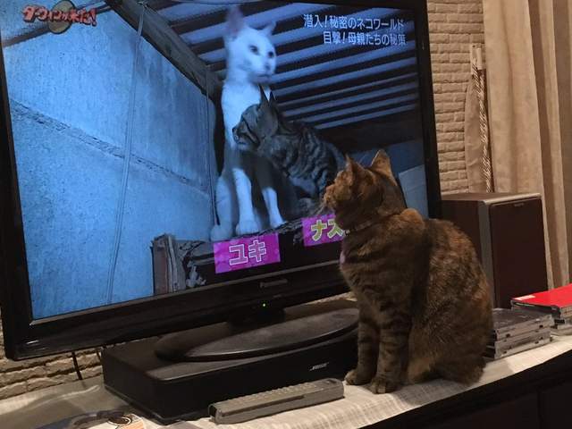 圖片11 圖片11