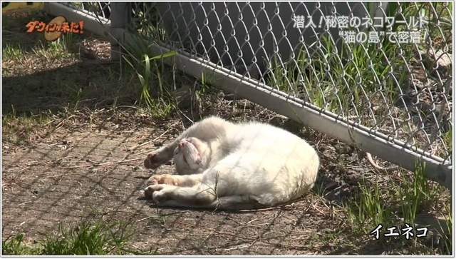 圖片4 圖片4