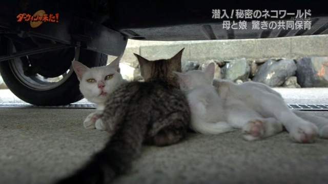 圖片5 圖片5