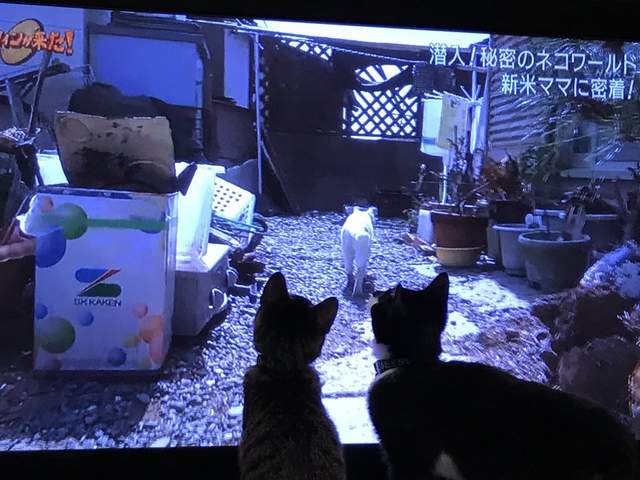 圖片6 圖片6
