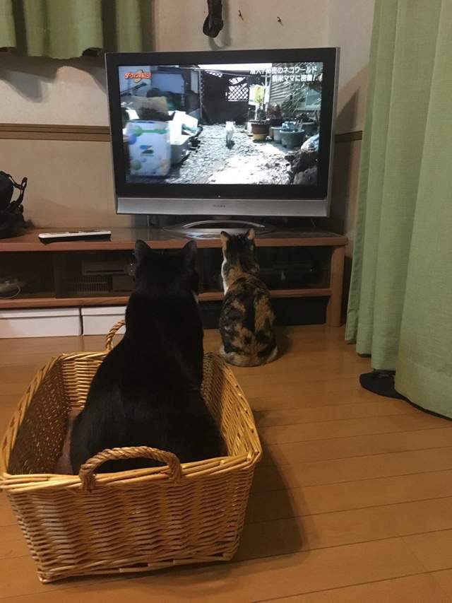 圖片14 圖片14