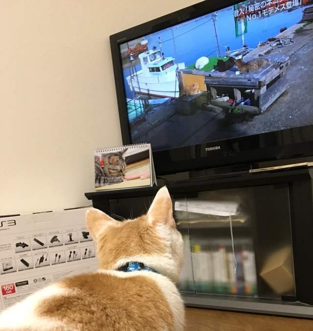 圖片16 圖片16