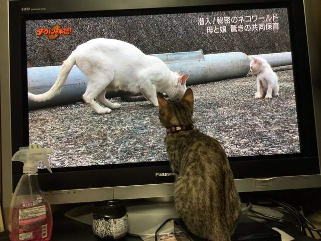 圖片19 圖片19