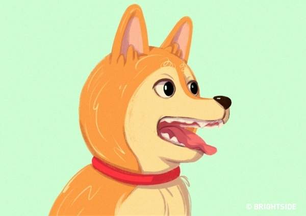 圖片11 圖片11