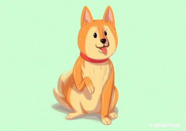 圖片15 圖片15