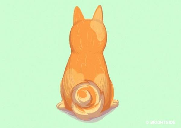 圖片17 圖片17