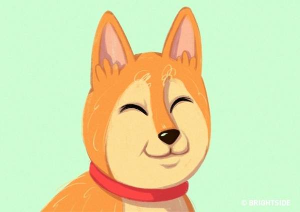圖片6 圖片6