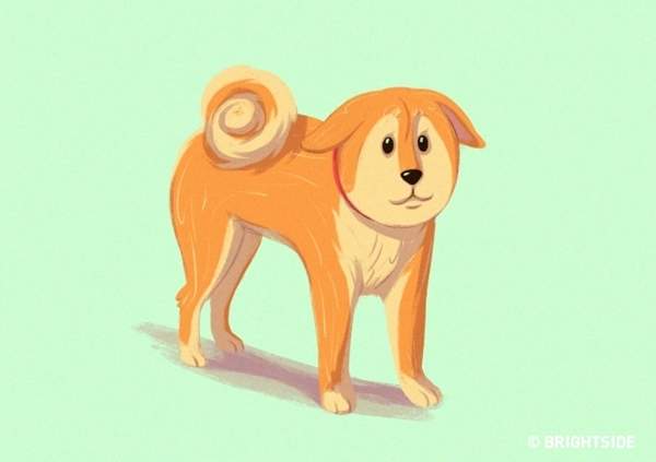 圖片8 圖片8