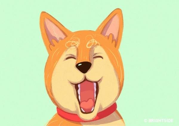 圖片9 圖片9