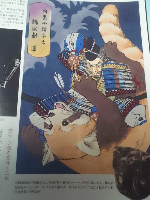 圖片9 圖片9