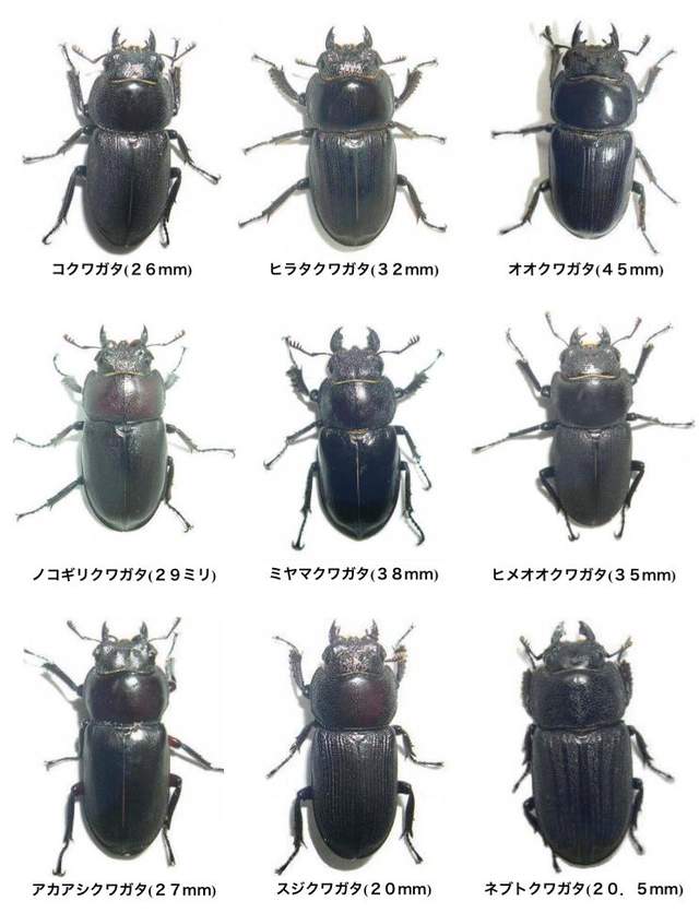 圖片7 圖片7
