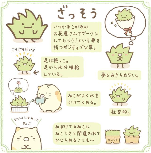 圖片9 圖片9