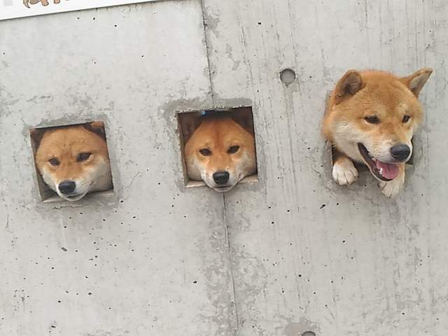 圖片10 圖片10