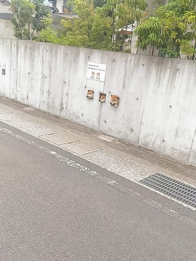 圖片8 圖片8