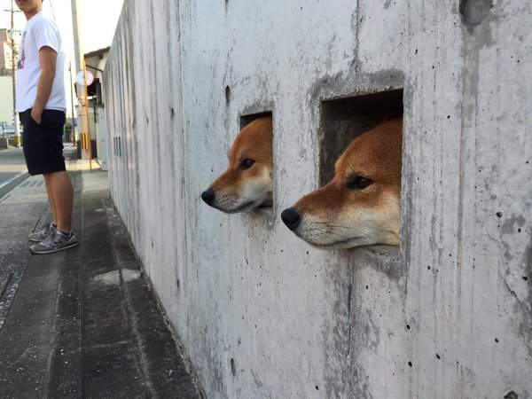 圖片6 圖片6